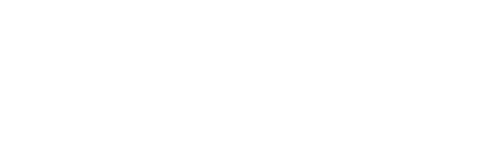 Electrone Security Systems